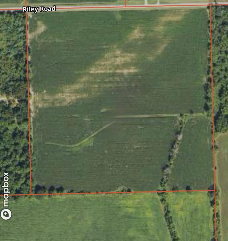 Rental 202780 Main Image