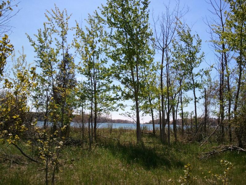 Rental 202782 Main Image