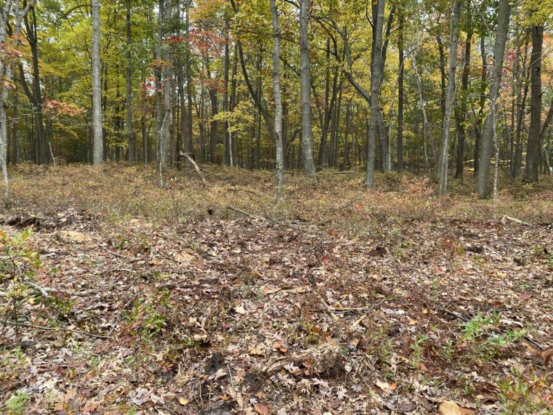 Rental 202784 Main Image