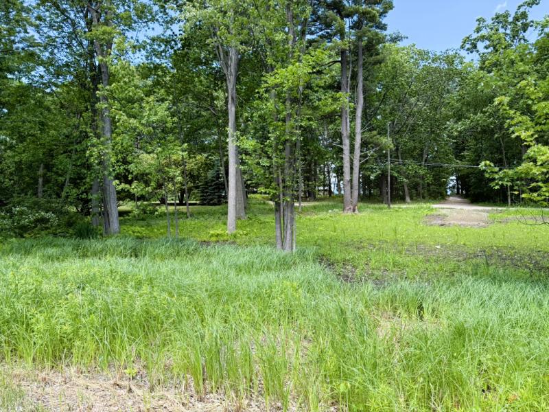 Rental 202969 Main Image