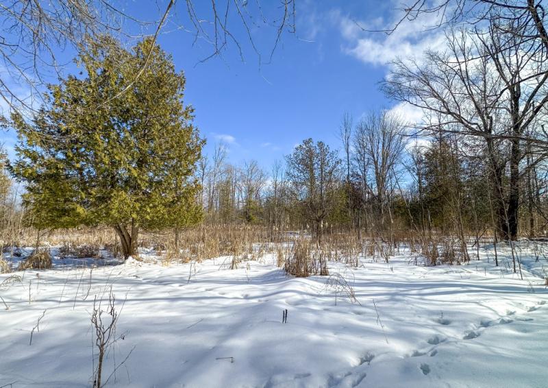 Rental 203026 Main Image