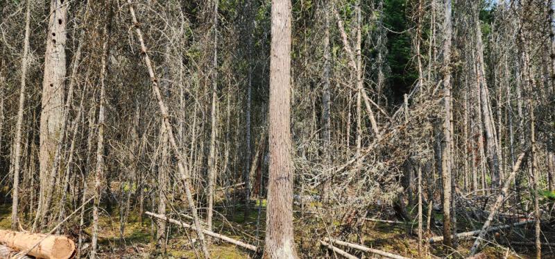 Rental 203056 Main Image