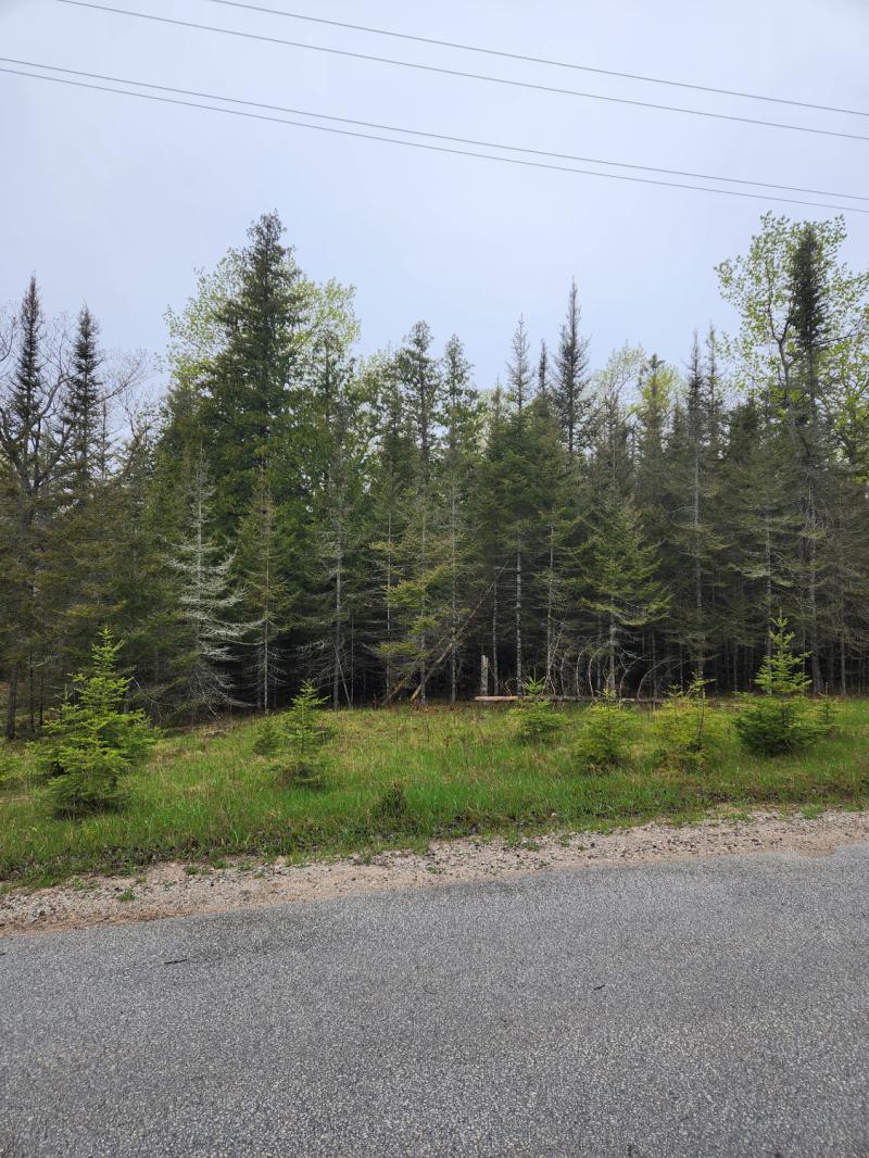 Rental 203698 Main Image