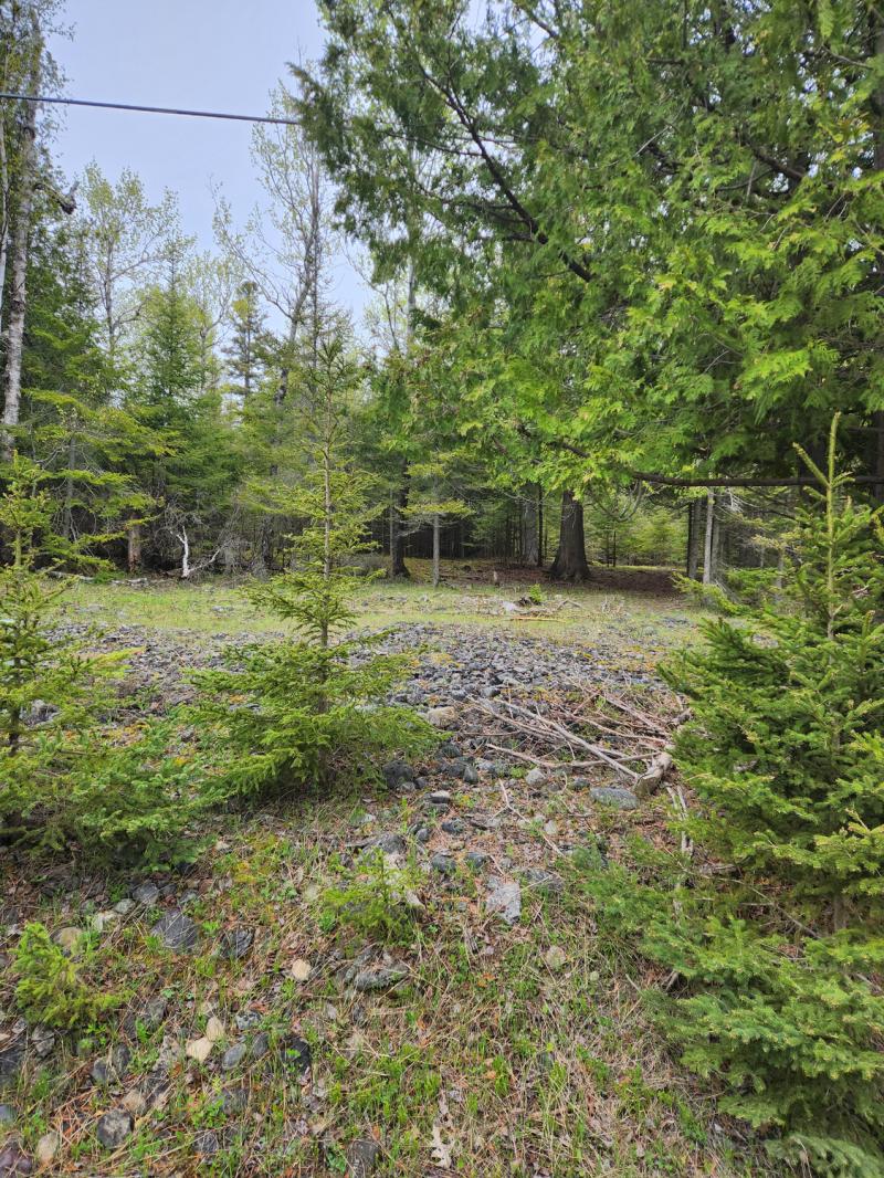 Rental 203699 Main Image