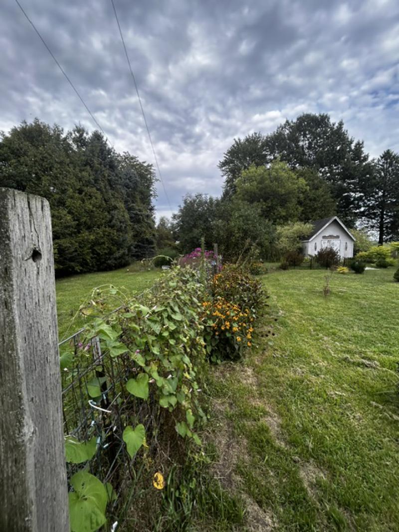 Rental 204687 Main Image