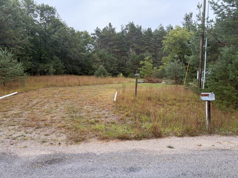 Rental 204749 Main Image