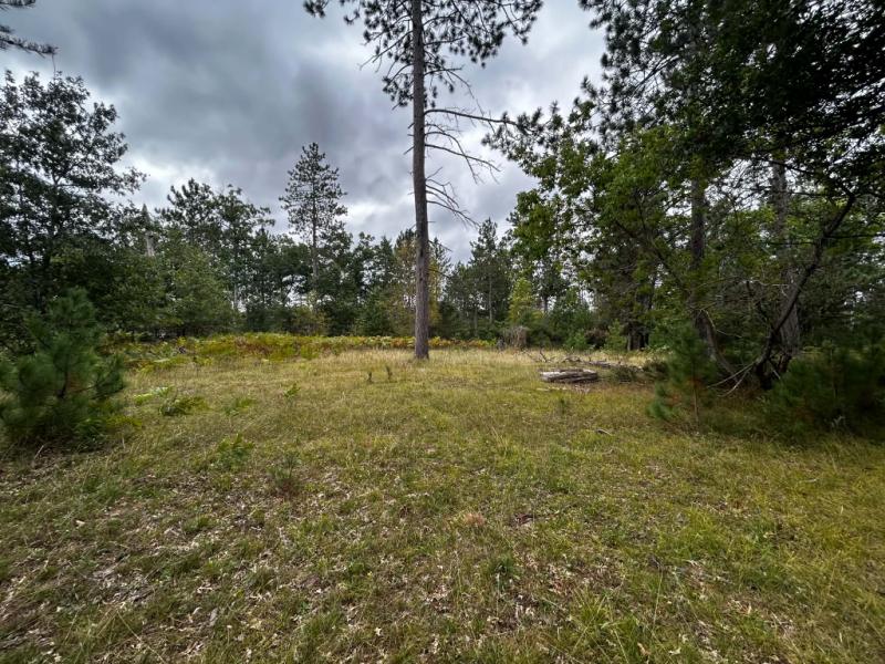 Rental 204804 Main Image